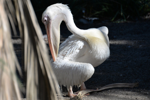 World of Birds Wildlife Sanctuary.